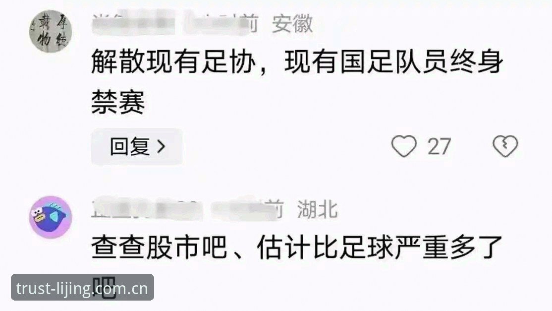 足协禁足名单深度解析实用指南——从新闻事件看足球行业规范与个人观赛选择